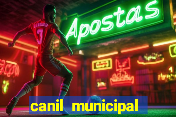 canil municipal porto alegre